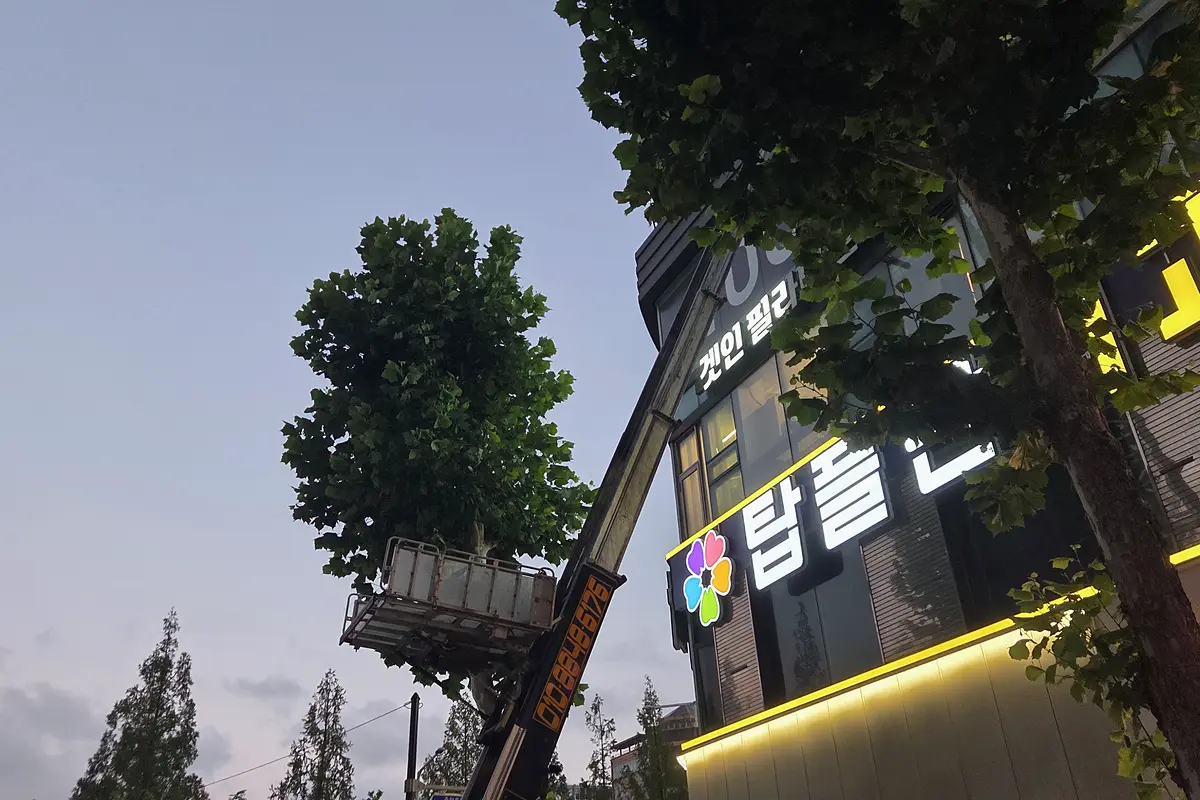 시흥 폐기물 수거업체 당일 현장 사진 1