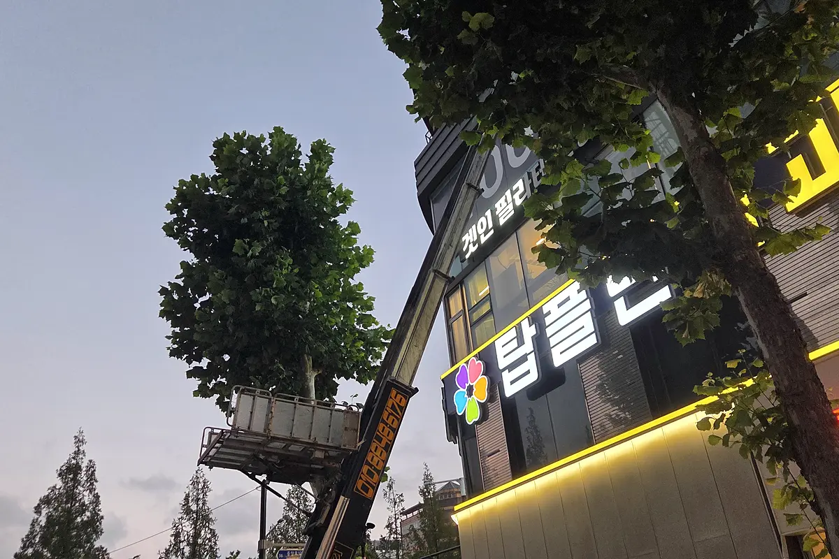 김포 창고 이사 폐기물 현장 사진 5